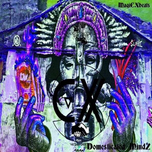 Cover art for Domesticated Mindz